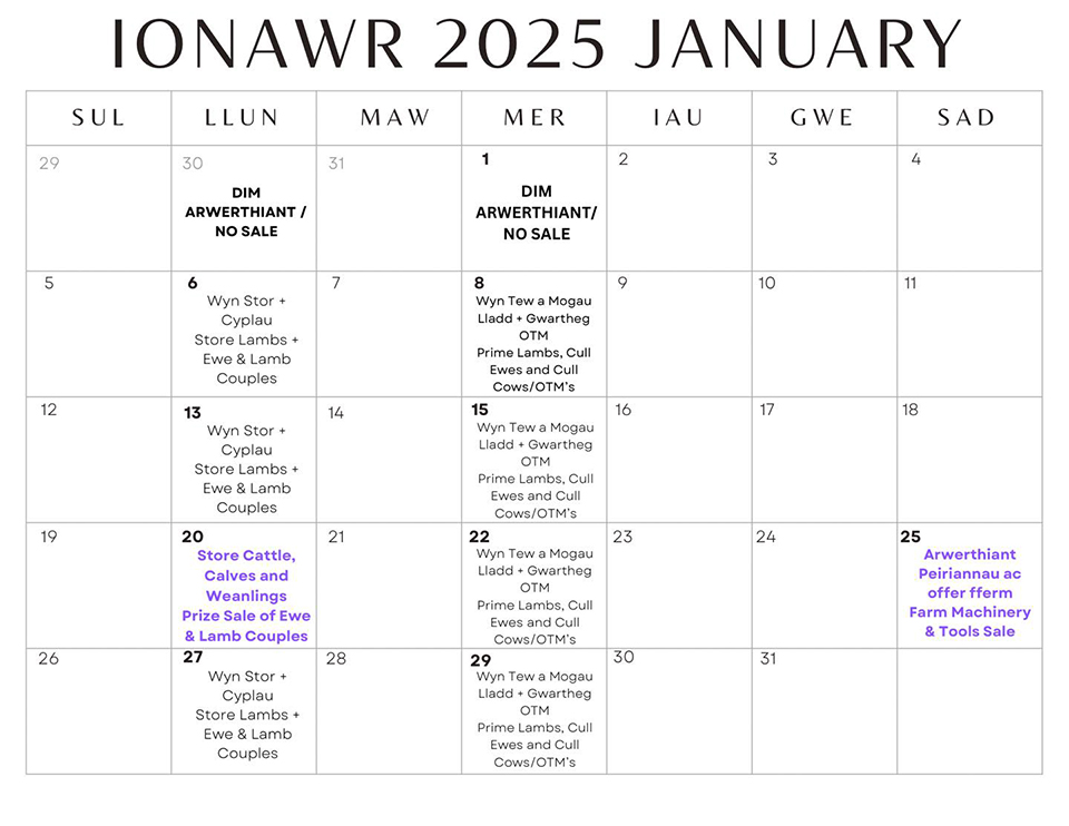 January 2025 calendar 